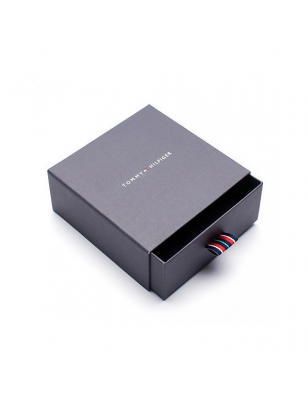 Tommy Hilfiger Gemelli Gemelli 1680628