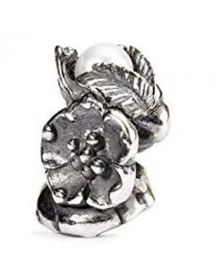 TrollBeads Charms Charms TAGBE-00031