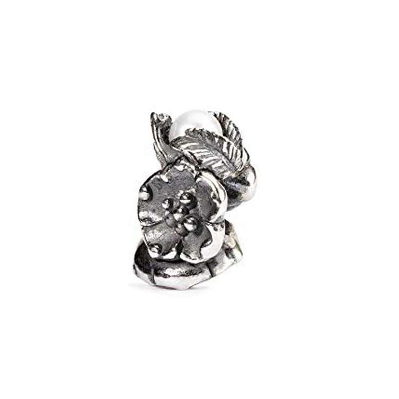 TrollBeads Charms Charms TAGBE-00031